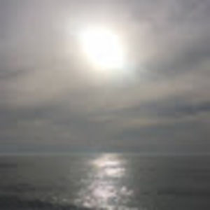 Meet your Posher, Rhonda